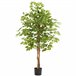 árvore de ficus artificial Verde