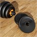 Halteres FED Multicor