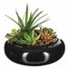 WELL HOME - Composição central com sortimento de plantas Verde