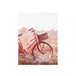 Pintura original BICYCLE 2,5x60x80cm Multicor