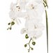 Beliani Planta artificial ONCIDIUM ORCHID GR1531651