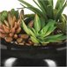 WELL HOME - Composição central com sortimento de plantas Verde