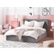 Beliani Cama com armazenamento Veludo VION 177x216 Cinza