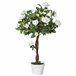 Árvore de Camélia Artificial PE, PP, Cimento, Tecido Outsunny Branco