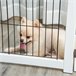Barreira de Segurança para Cães Madeira de Pinho e Aço PawHut Branco