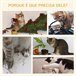Árvore Arranhador para Gatos Aglomerado de Madeira e Pelúcia Cinza
