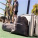Conjunto de Elásticos de Resistência com Acessórios e Guia de Exercícios TRIBAINER Preto