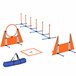 Conjunto de Treino e Agilidade ABS, PE, Tecido Oxford PawHut Laranja