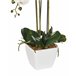 Beliani Planta artificial ONCIDIUM ORCHID GR1531651