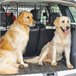 Separador de carro para cães aço PawHut Preto