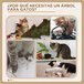 Arranhador para Gatos Aglomerado de Madeira, Pelúcia e Sisal Cinza
