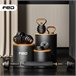 Halteres FED Multicor