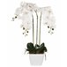 Beliani Planta artificial ONCIDIUM ORCHID GR1531651