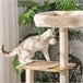 Arranhador para Gatos Aglomerado de Madeira, Pelúcia e Sisal Bege