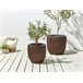Beliani Conjunto de 3 vasos para plantas BERBERIS Castanho