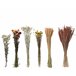 Flores secas AMARANTA sortidos 14cm marca EVERLANDS  Multicor