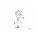 Beliani Planta artificial YUCCA Verde