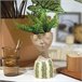 Vaso de flores HESPERIA marca DECORIS Verde