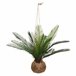 WELL HOME - Cuba de palmeira Bege