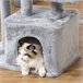 Arranhador para Gatos Aglomerado e Sisal PawHut Cinza