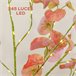 Árvore com Iluminação PP HOMCOM, casa - decoração Laranja