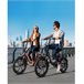 Bicicleta Elétrica HillMiles MilePort 1 – Motor 250W Bateria 36V13Ah Verde