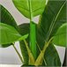 Bananeira Artificial PEVA, PE, Cimento HOMCOM, casa - decoração Verde