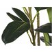 Beliani Planta artificial FICUS ELASTICA Verde