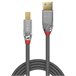 Cabo USB A para USB B 36664 Preto