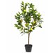 Beliani Planta artificial limoeiro Verde