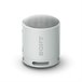 Altifalante Bluetooth Portátil SRS-XB100 Cinza