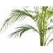 Beliani Planta artificial ARECA PALM Verde
