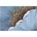 Pintura Azul