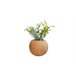 Planta artificial OLGA marca ECOANYA Natural