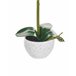 Beliani Planta artificial ORCHID GR1531651