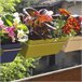 3 jardineiros l 22 cm com ganchos Cinza