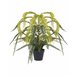 Beliani Planta artificial FERN LEAF PLANT Verde