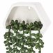 WELL HOME - Planta contemporânea para pendurar na parede Verde