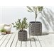 Beliani Conjunto de 2 vasos para plantas BRODIEA Castanho Claro