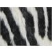 Beliani Decoração em pele de ovelha NAMBUNG 60x90 Branco/ Preto