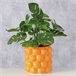 Vaso de flores ORANGE 15cm vaso de porcelana da marca BOLTZE  Laranja