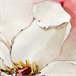 Capa de almofada White Peonies Multicor