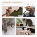 Arranhador para Gatos Aglomerado, Pelúcia e Sisal PawHut Bege