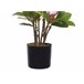 Beliani Planta artificial MAGNOLIA Verde