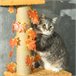 Árvore para Gatos Aglomerado de madeira Laranja