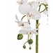 Beliani Planta artificial ORCHID GR1531651