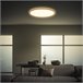 Plafon TAVA WOOD DOWNLIGHT 1 LED marca BRILONER Madeira