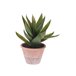 ALOE VERA artificial em vaso cor terracota Multicor