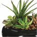 WELL HOME - Composição central com sortimento de plantas Verde
