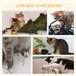 Arranhador para Gatos Aglomerado de Madeira, Pelúcia e Sisal Cinza